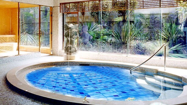 An indoor swimming pool with a tropical mural on the ceiling, surrounded by glass walls and tropical plants. - HARRIWAY GARDEN HOTEL CHANG AN (Dongguan)