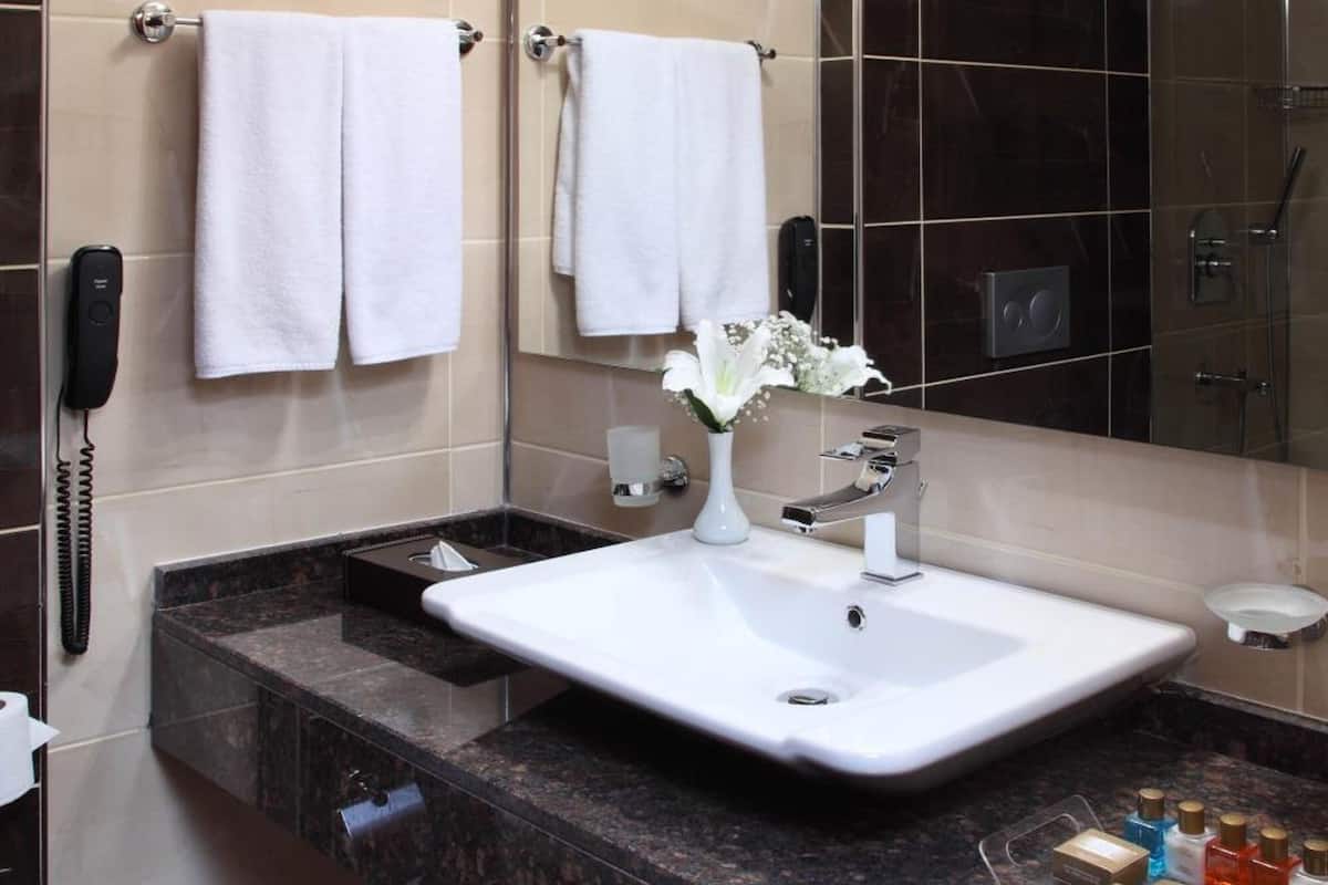 combined shower/bathtub, free toiletries, hair dryer, bathrobes