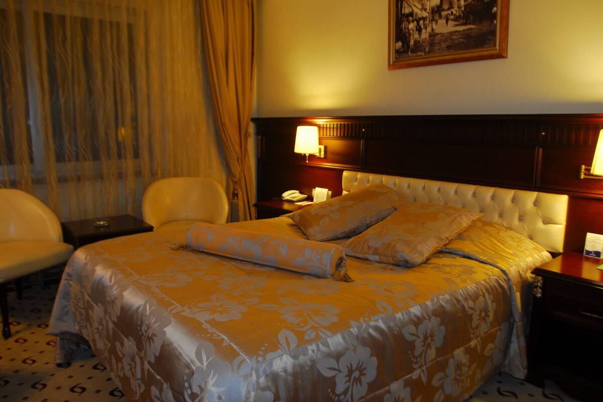 Basic Double Room | Minibar, in-room safe, desk, laptop workspace