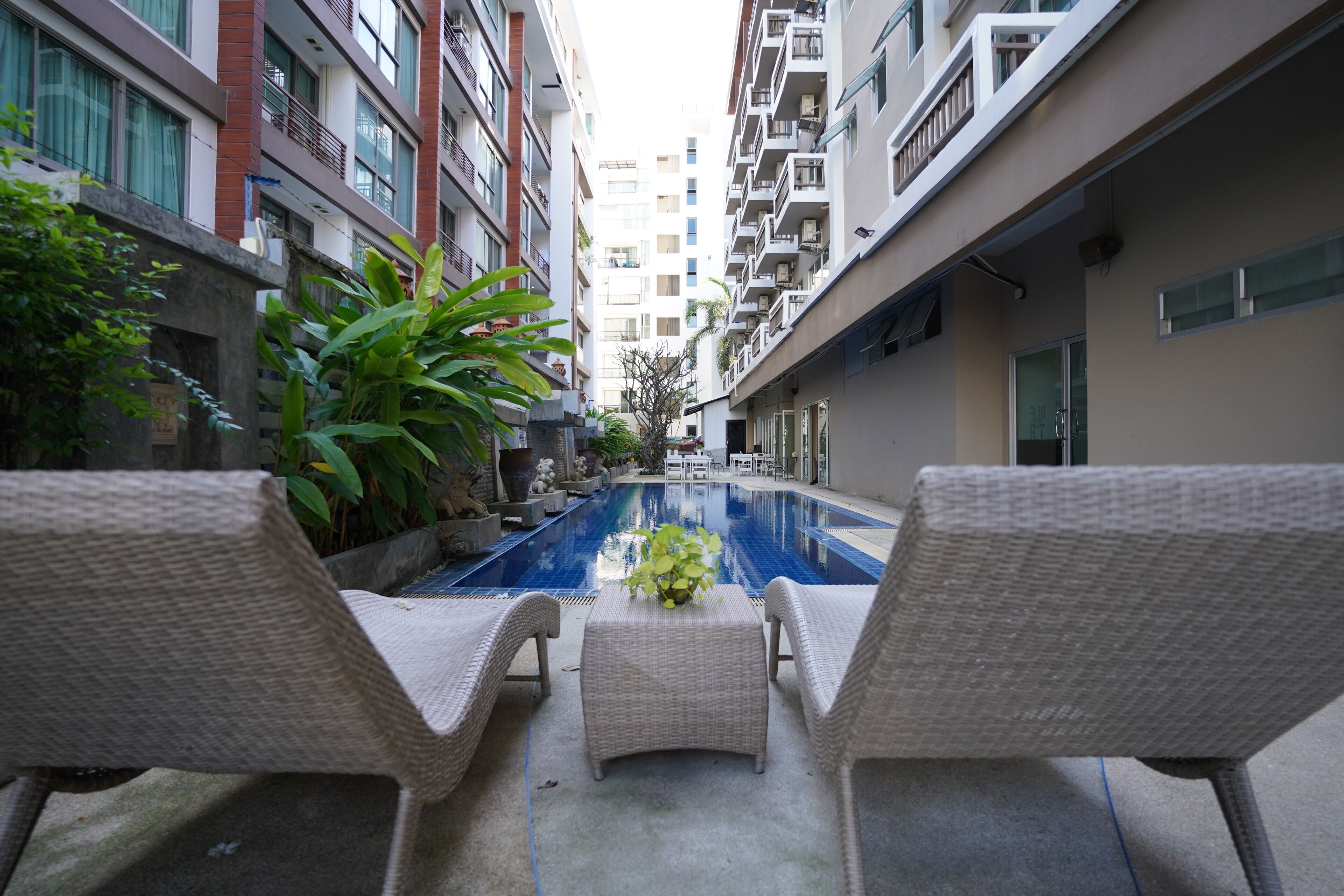 outdoor pool, pool loungers