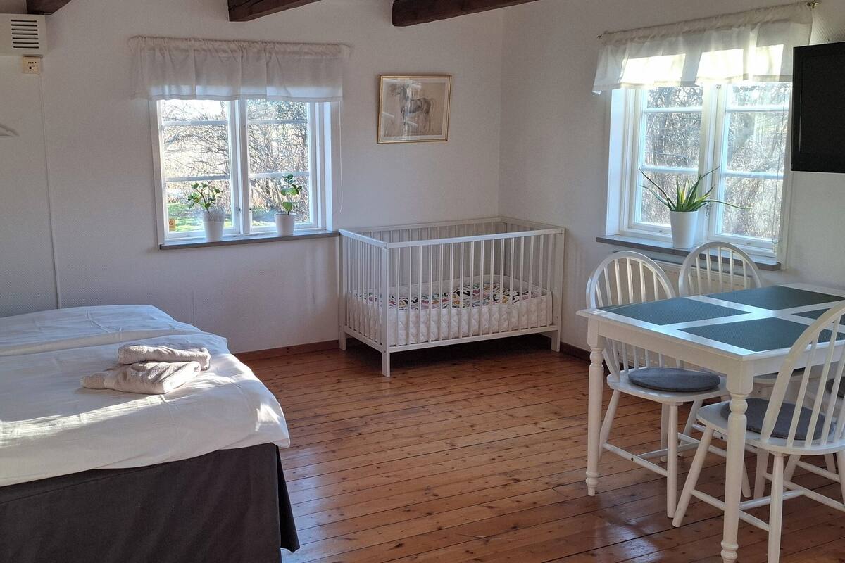 A room with a bed, a crib, a table with chairs, and a TV.