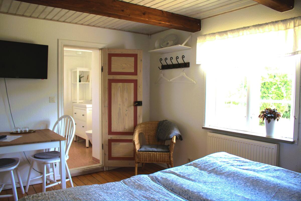 A bedroom with a bed, a chair, a desk, a television, a window with a plant, and a door leading to another room.