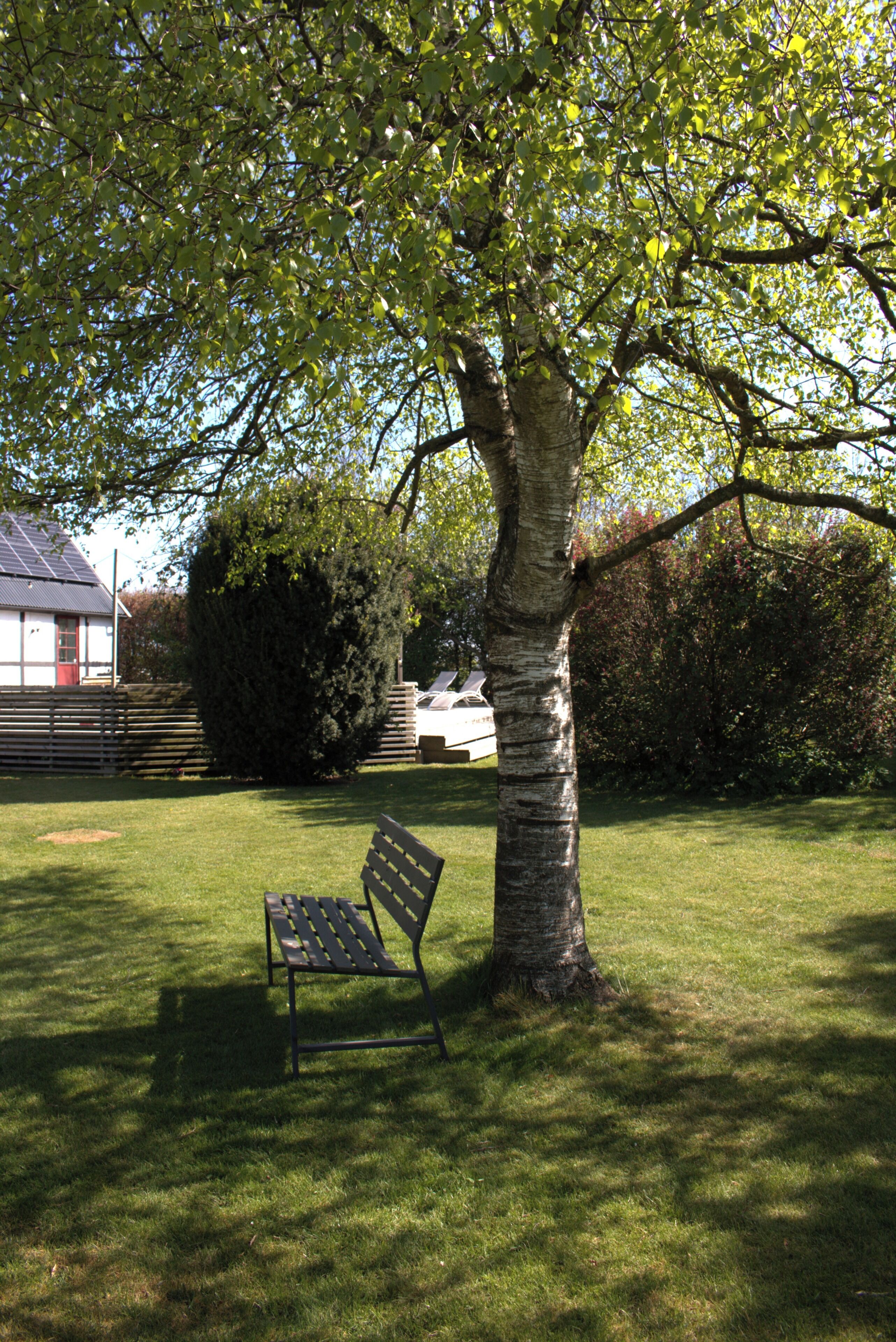 Utsikt mot trädgården