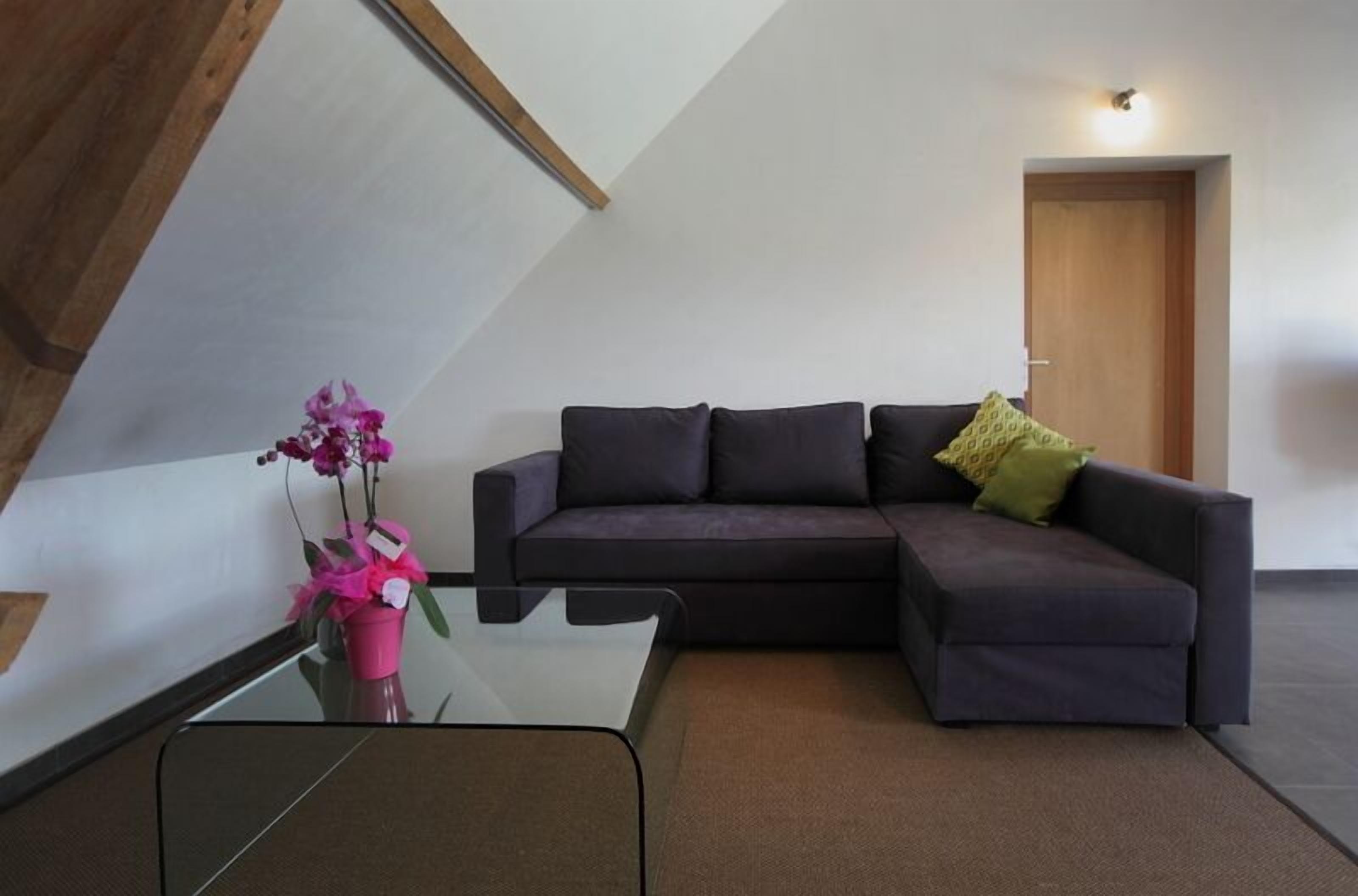 A modern living room with a dark-colored sofa, a glass coffee table, and a pink orchid plant.