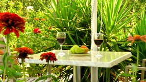 A table set outdoors with a plate of fruit and two glasses of red wine. - Vicky Studios (Lesvos)