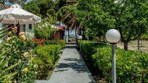 A pathway lined with greenery and a white umbrella, leading to a building with a tiled roof. - Vicky Studios (Lesvos)