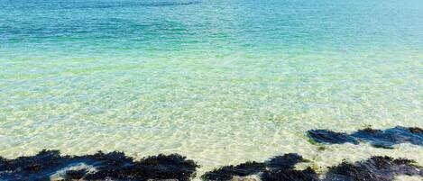 Dúplex de lujo, 1 cama King size, tina, vista al mar | 1 habitación y ropa de cama de alta calidad