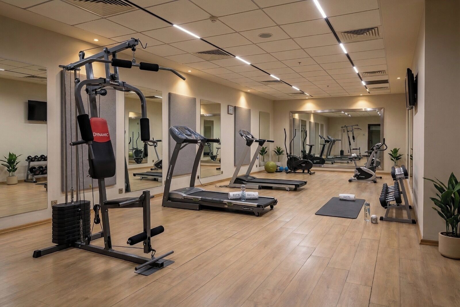 A gym with treadmills, weight machines, and exercise balls.