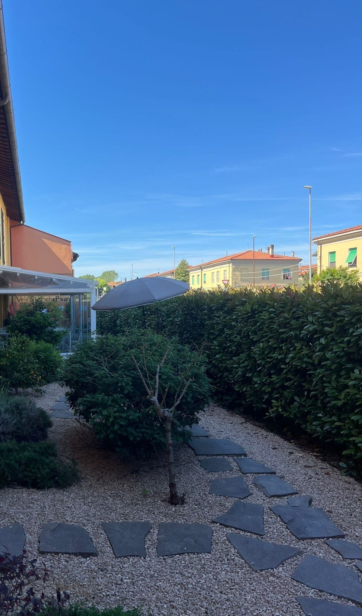 Un giardino con un vialetto sterrato, un piccolo albero e un siepe.