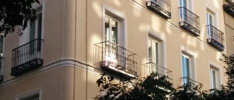 الإطلالة من المنشأة