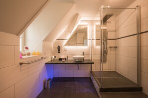Shower, hydromassage showerhead, free toiletries, hair dryer