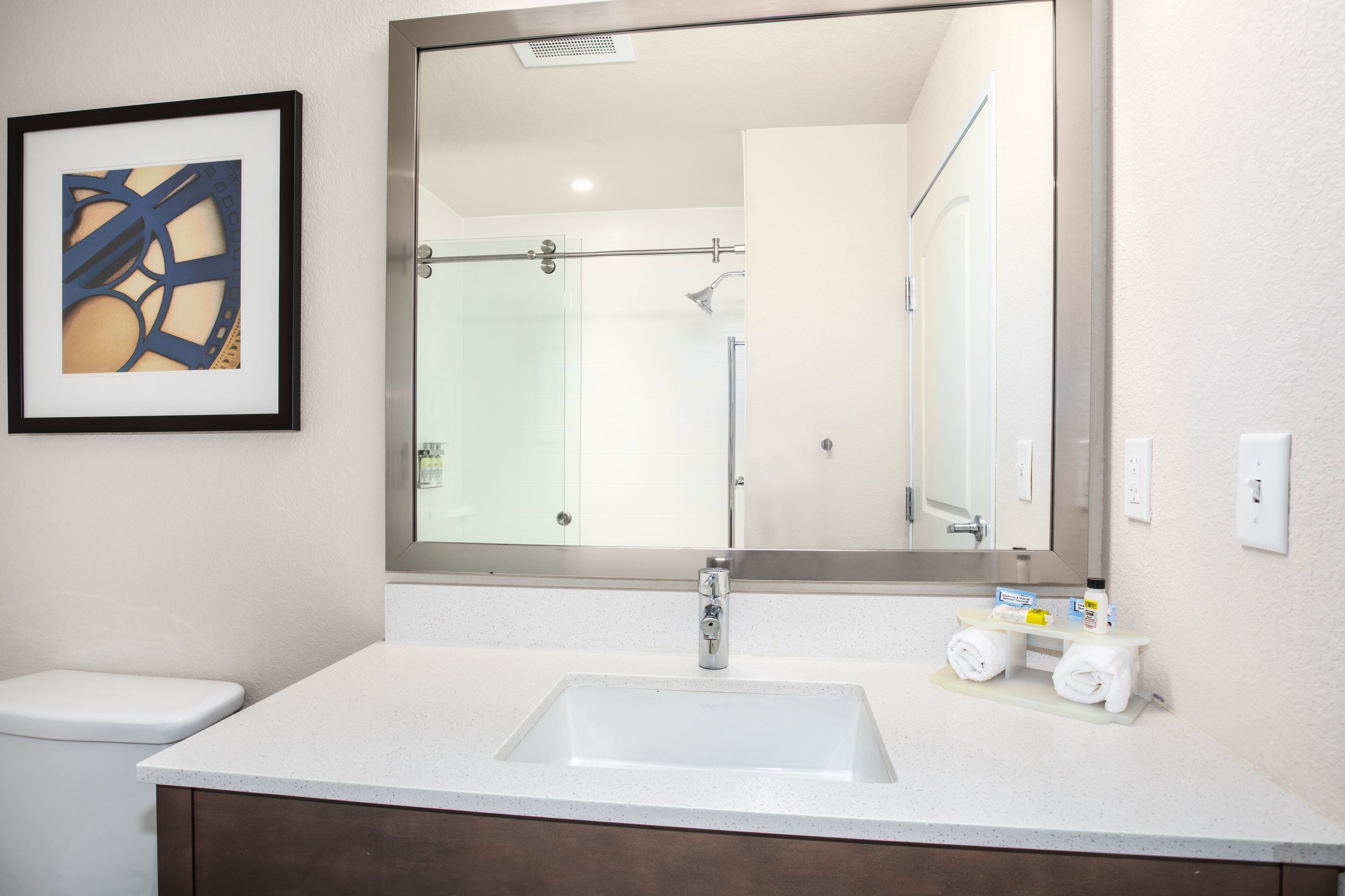 A bathroom with a white sink, a large mirror, a framed picture on the wall, and a shower visible in the reflection.