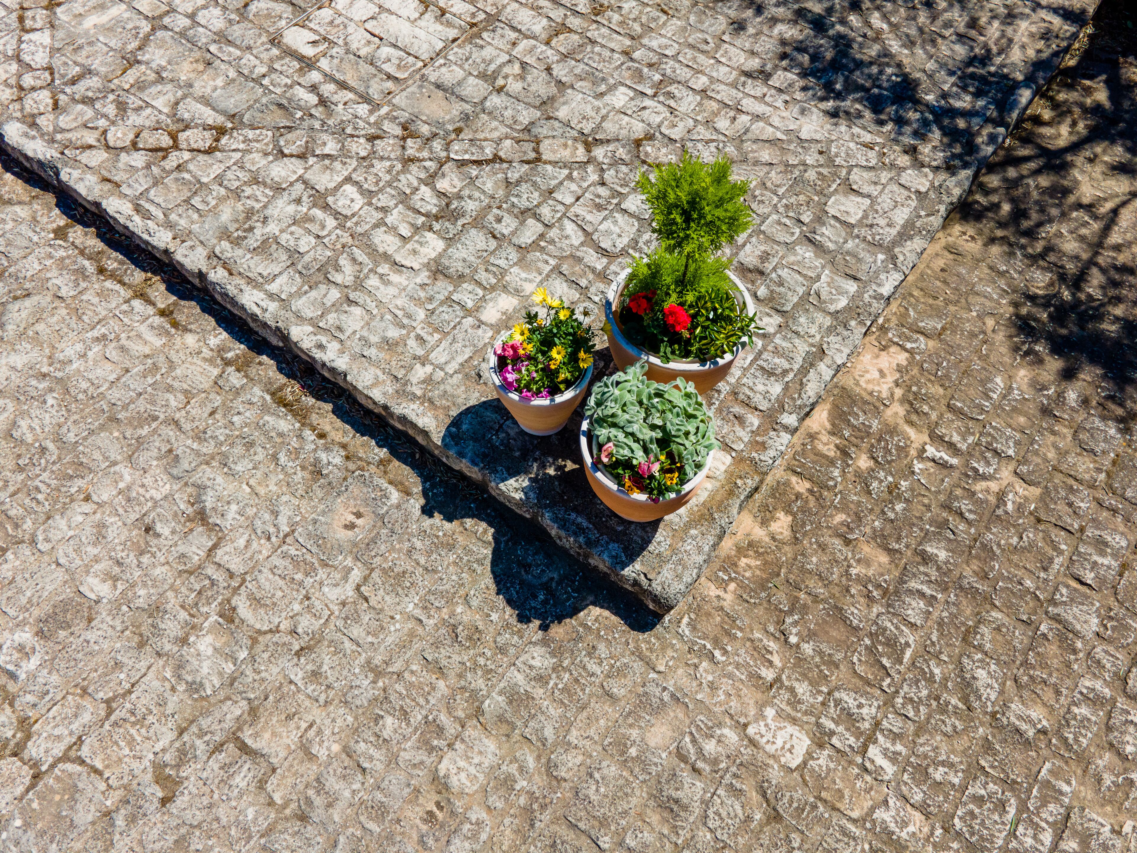 Photo - Borgo Monachella