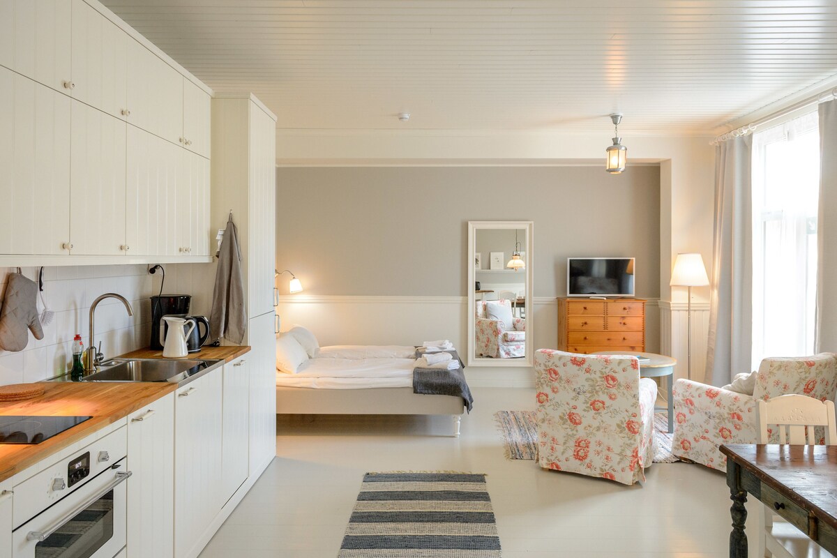 A5 Studio apartment Rosa, Bulevardi 19 (Private Bathroom)