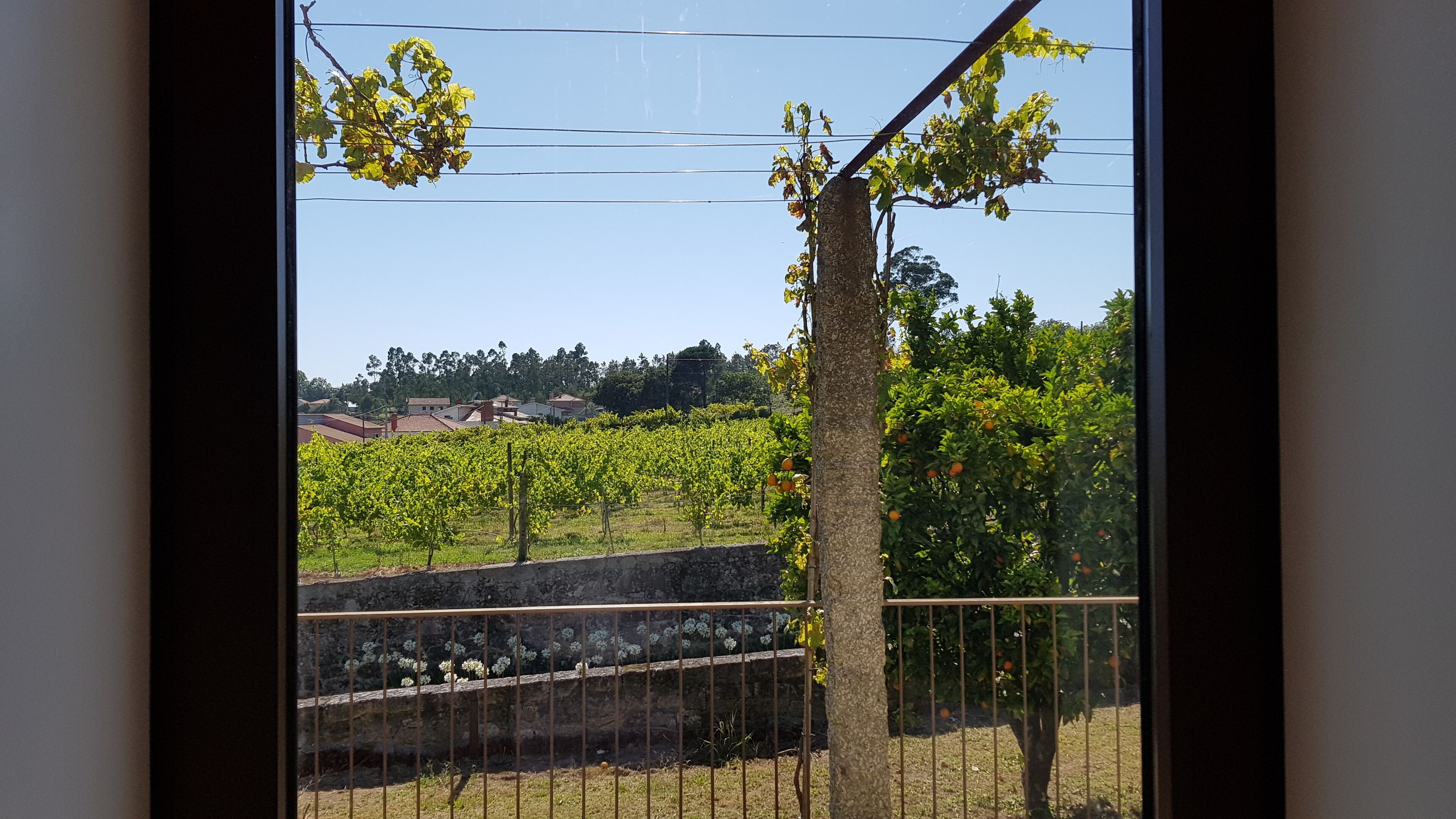 Photo - Casas do Monte de Roques