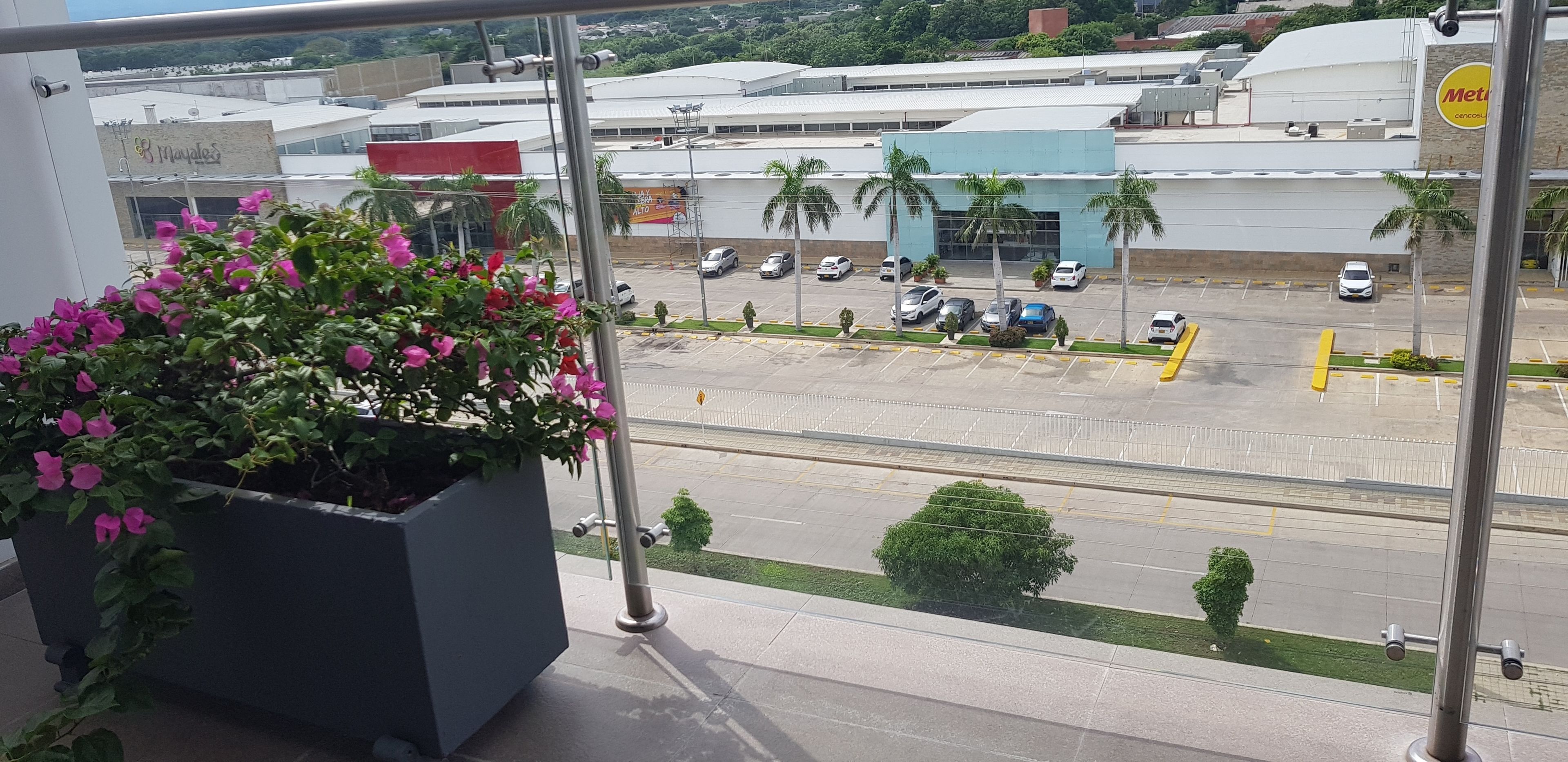A balcony with a potted plant and a view of a parking lot with several cars and a building in the background.