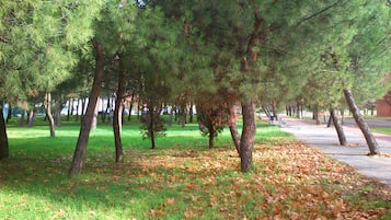 DĂ©tail de lâextĂ©rieur