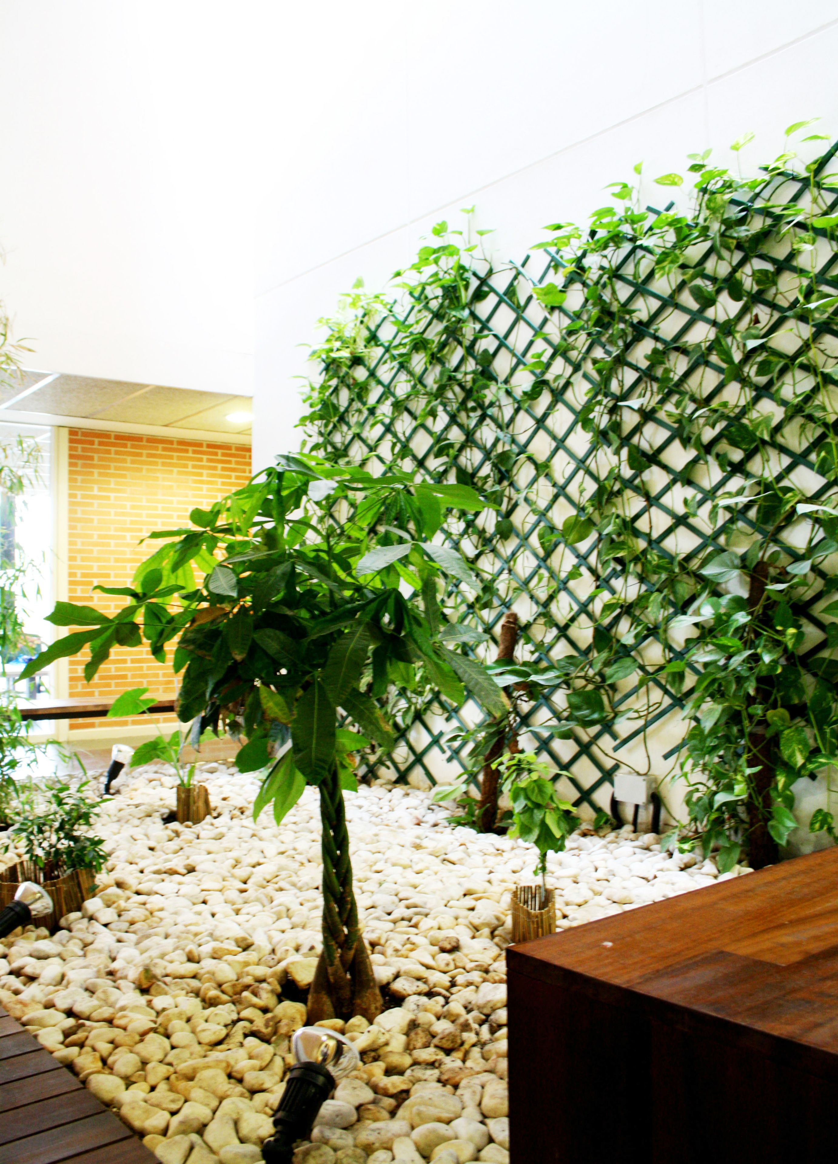 Foto - Residencia Universitaria Resa Giner de Los Ríos