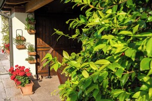 Un edificio rústico con puerta de madera, plantas en macetas en la pared y una planta de flor roja en maceta en el suelo.