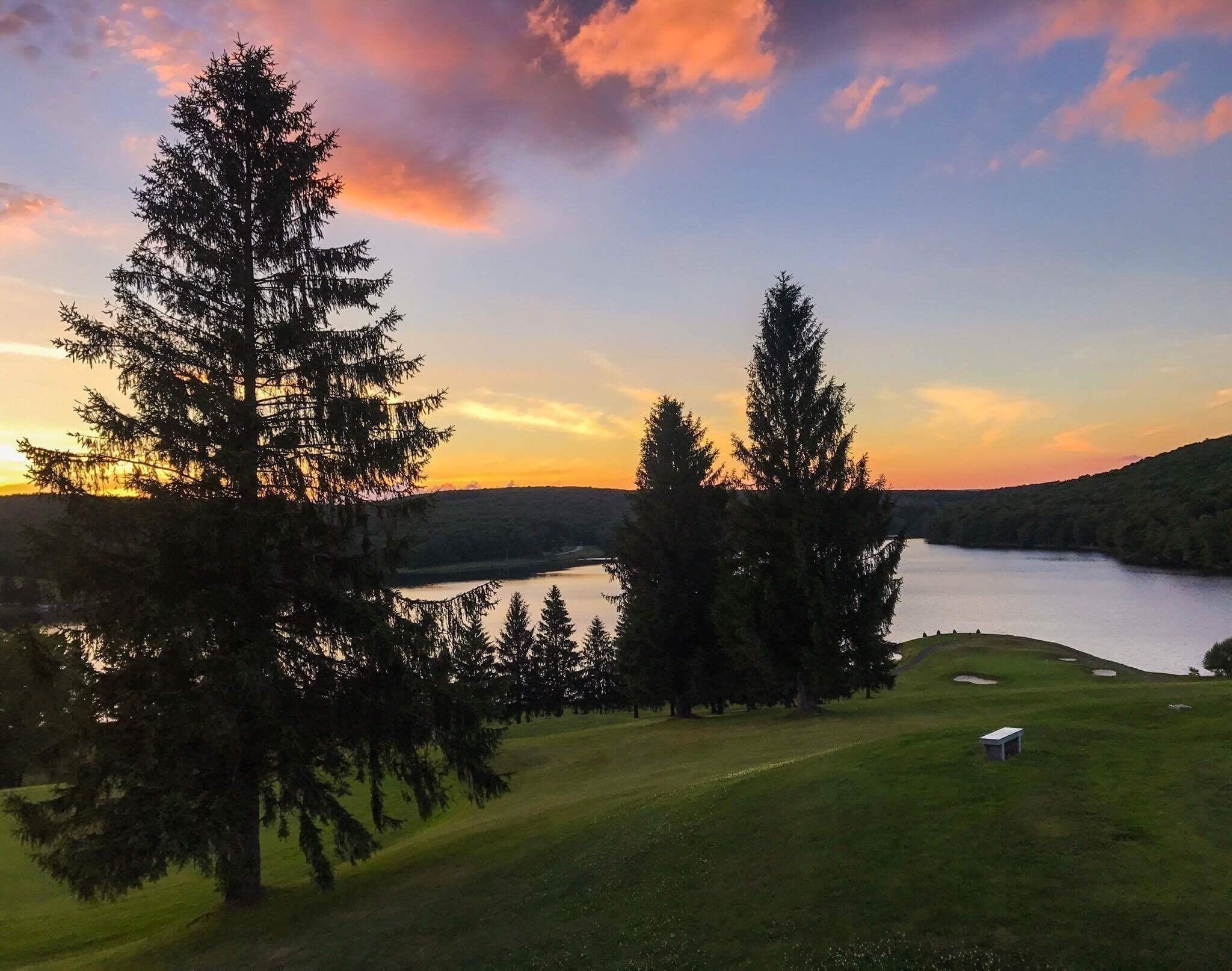 A serene landscape with a lake, trees, and a grassy area.