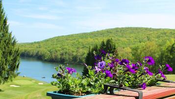 Vista de un lago con una cubierta de madera y una maceta con flores moradas.
