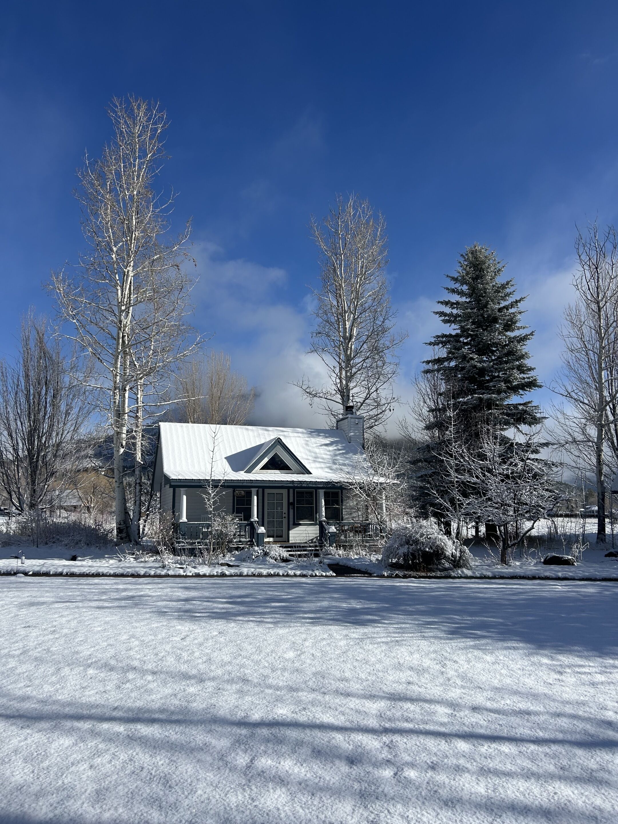 A snow-covered house with a gabled roof, surrounded by leafless trees and a clear blue sky.