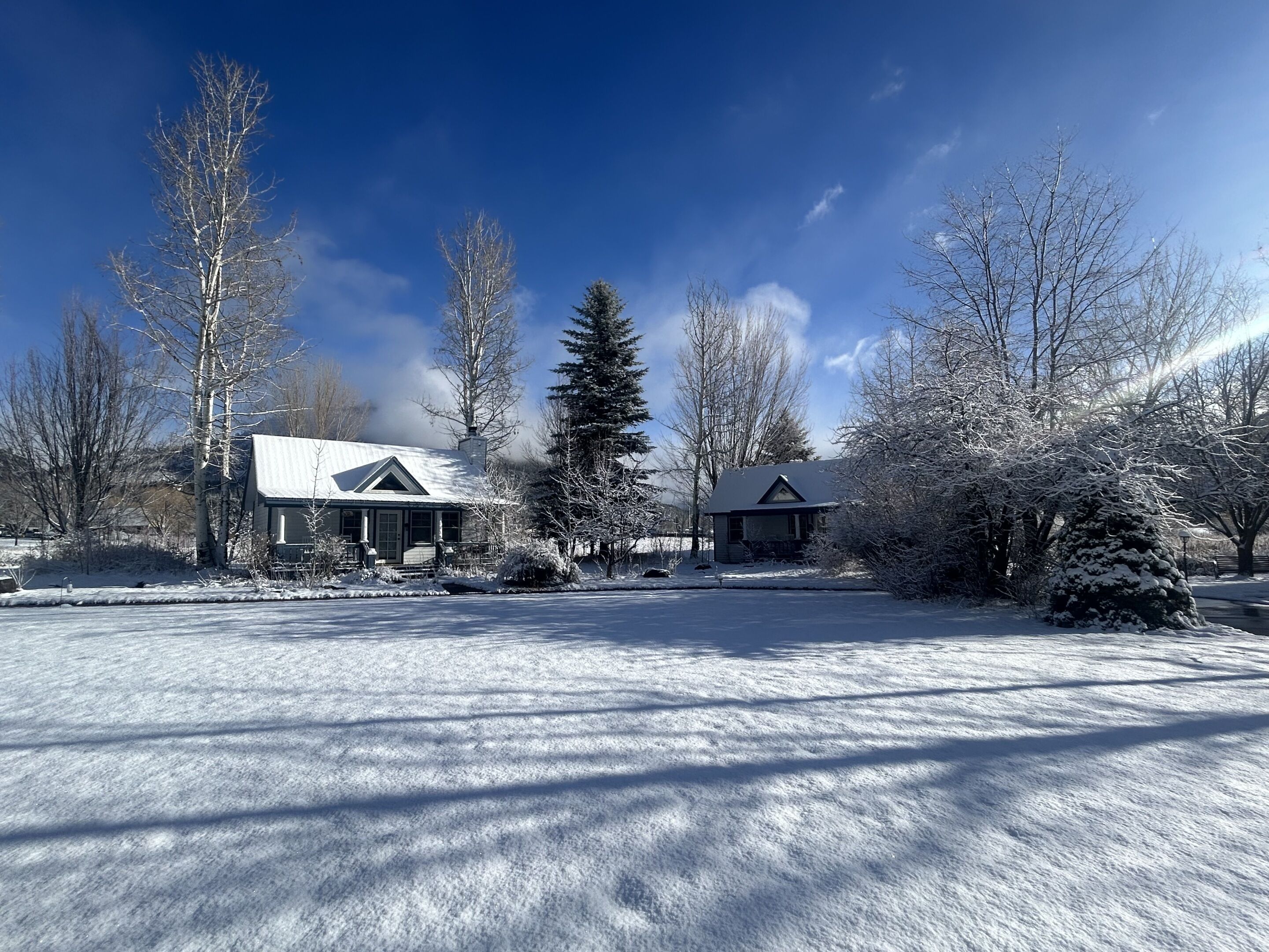A snow-covered landscape with two houses, one with a gabled roof and another with a similar roof, surrounded by bare trees and a clear sky.