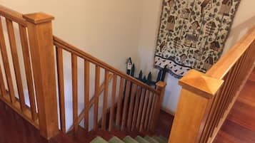 A wooden staircase with a green carpet, a wooden handrail, and a wall with a birdhouse pattern.