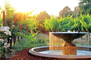 Un jardin avec une fontaine centrale, entouré d’une végétation luxuriante et de plantes en fleurs.