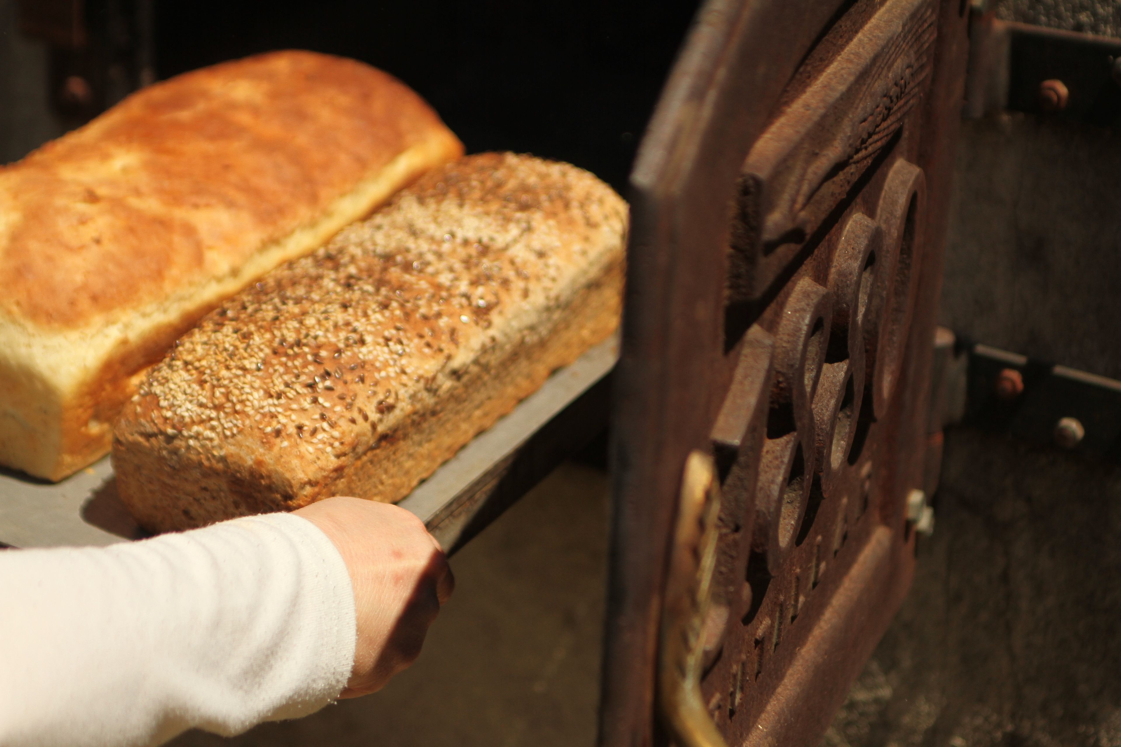 Two loaves of bread on a metal rack.