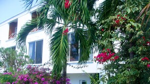 A white building with multiple windows, surrounded by lush greenery and flowering plants. - Coral Lane Beach Apartments (Paynes Bay)