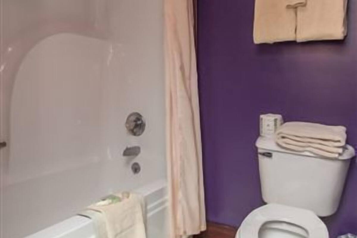 free toiletries, hair dryer, towels