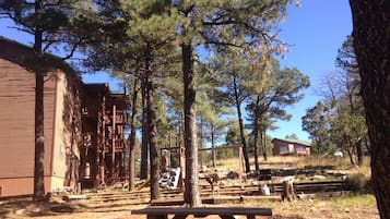 BBQ/picnic area