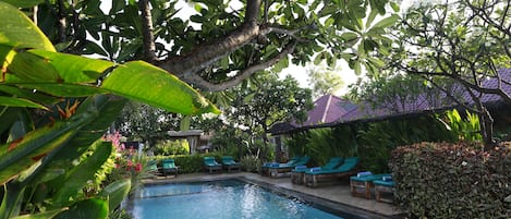 Piscine extérieure, parasols de plage, chaises longues