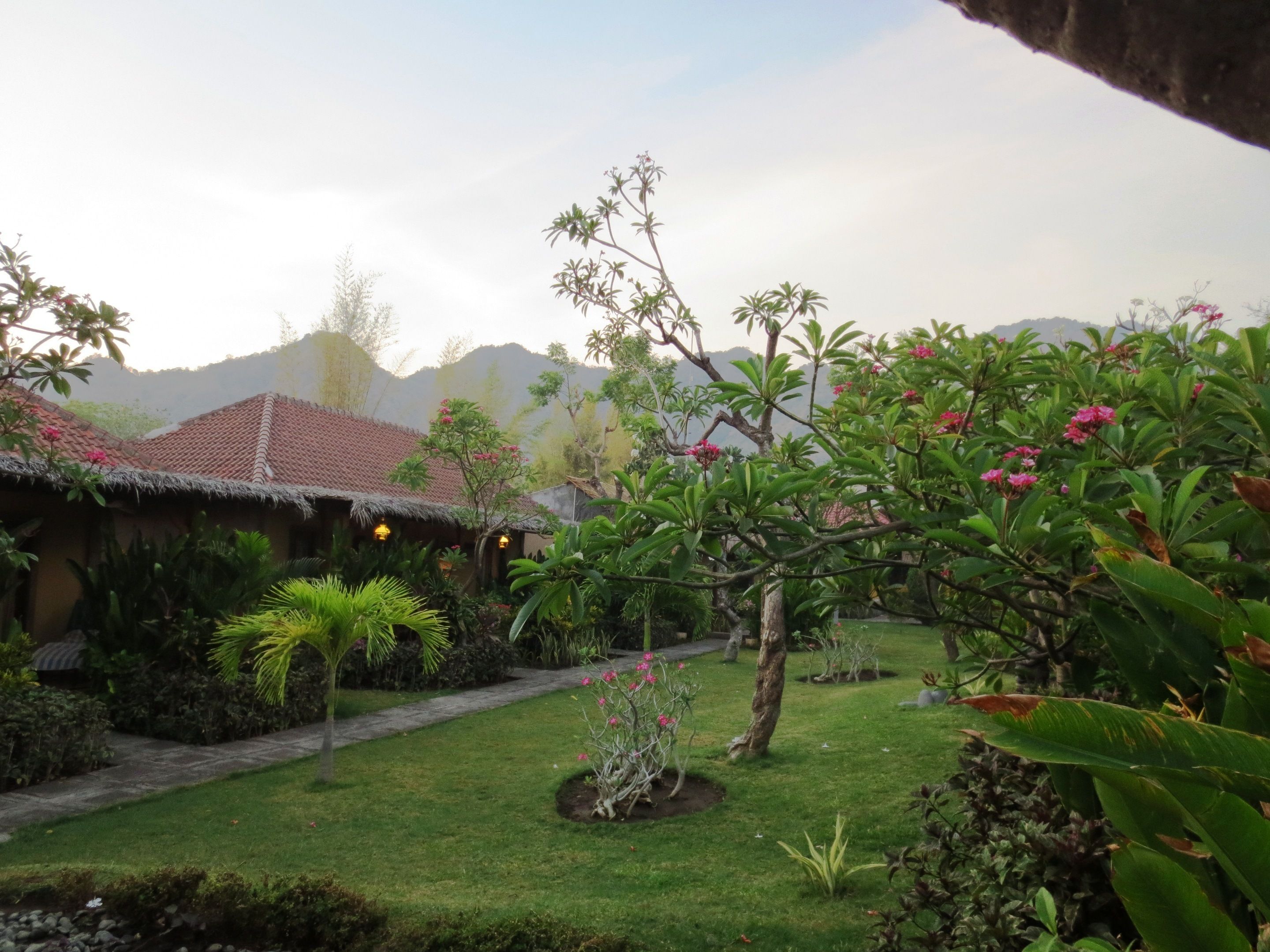 A garden with a pathway, various plants, and a building with a tiled roof.