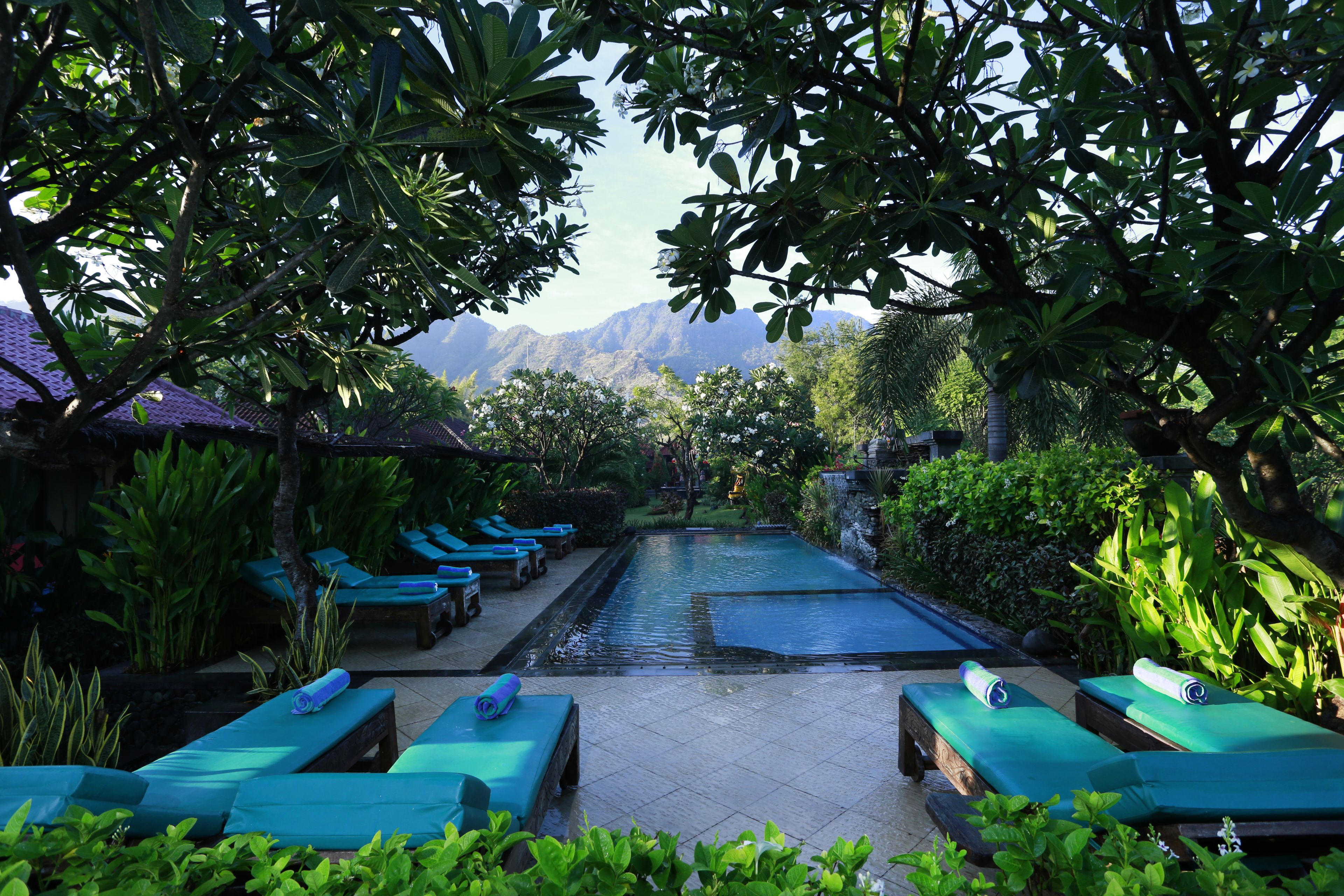 Piscine extérieure, parasols de plage, chaises longues
