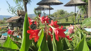 A garden with red flowers, a pool, and thatched umbrellas. - Shine Studios (Lesvos)