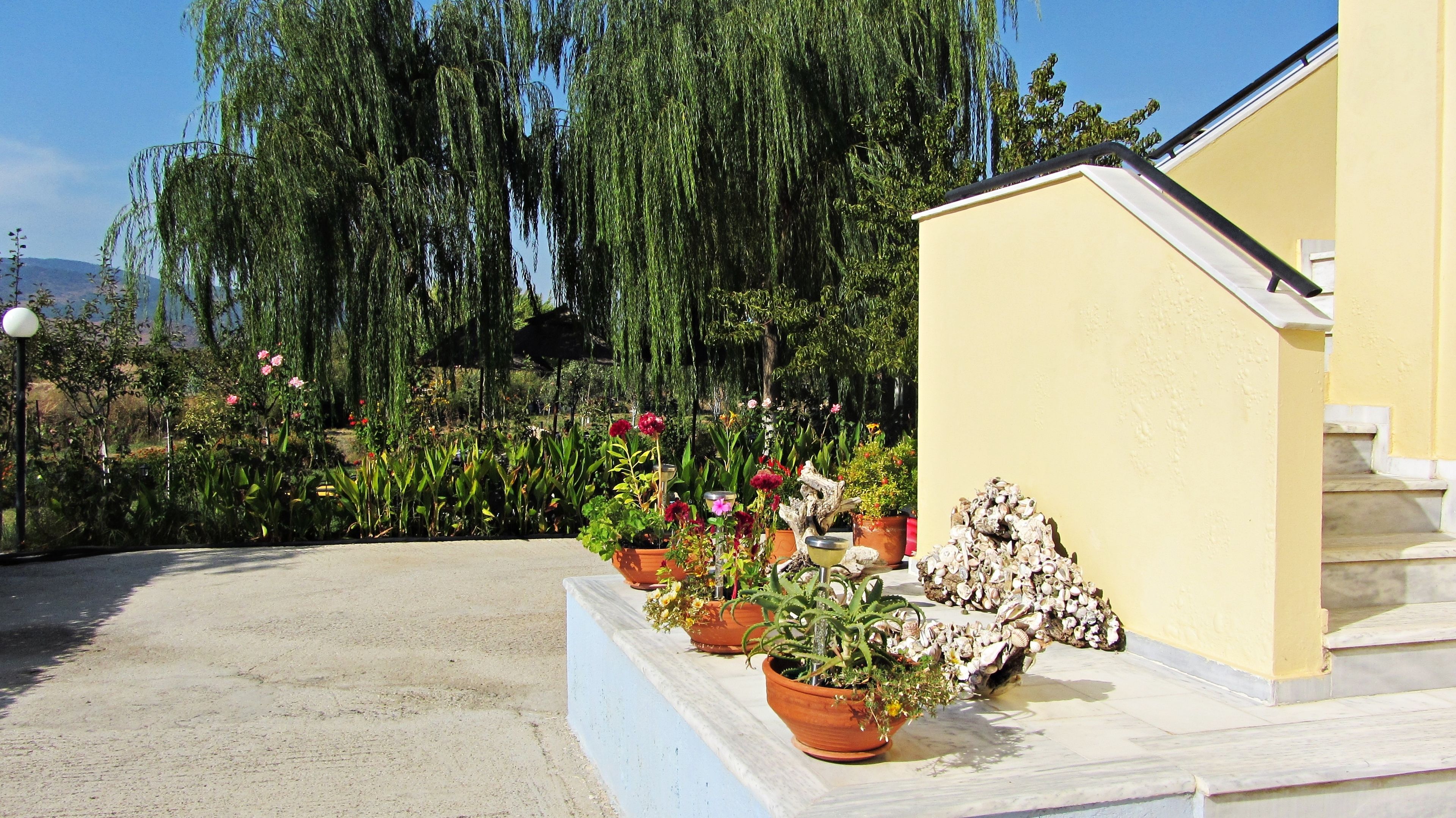 A garden with potted plants and a small structure with steps.