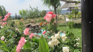 Fountain - Shine Studios (Lesvos)