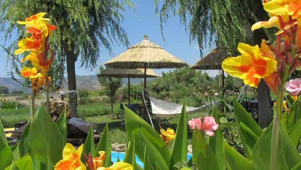 A garden with tropical flowers, a hammock, and thatched umbrellas. - Shine Studios (Lesvos)