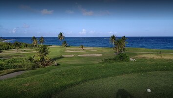 Un campo de golf con vistas al océano y palmeras.