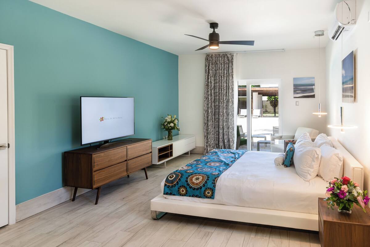 A modern bedroom with a bed, a TV, a ceiling fan, and a view of the outdoors.