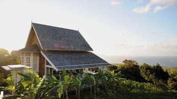 Guesthouse surrounded by lush greenery and tropical plants.