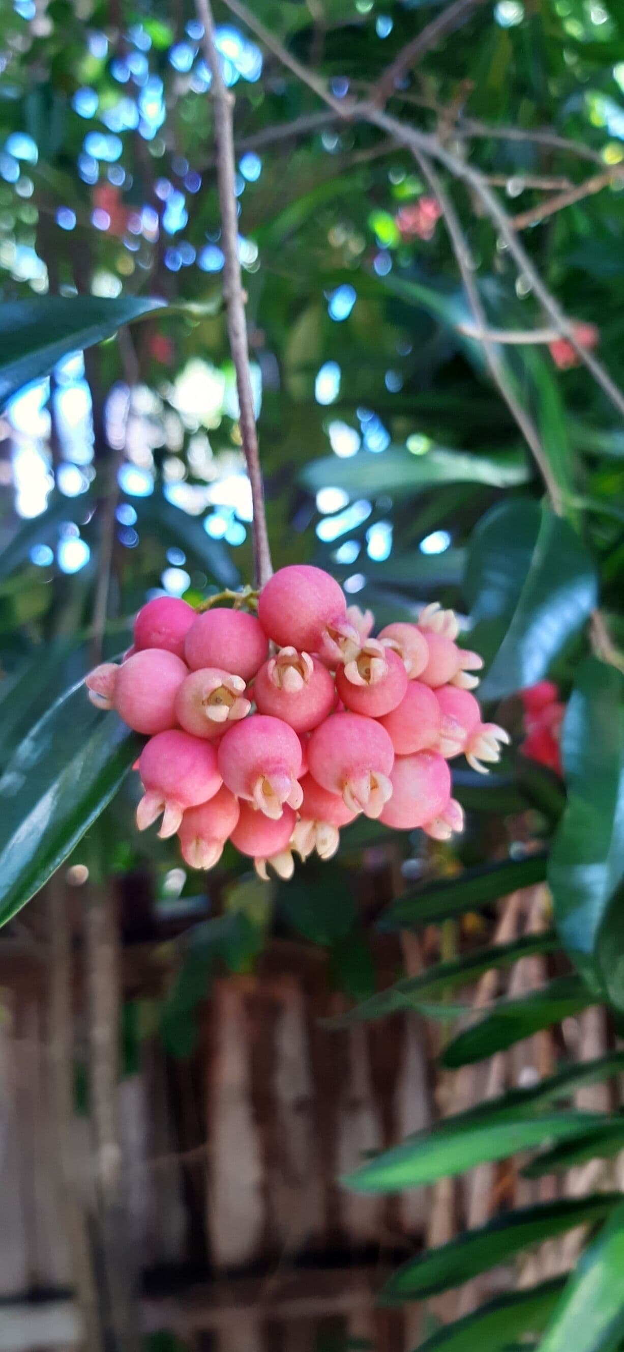 Photo - Travellers Paradise