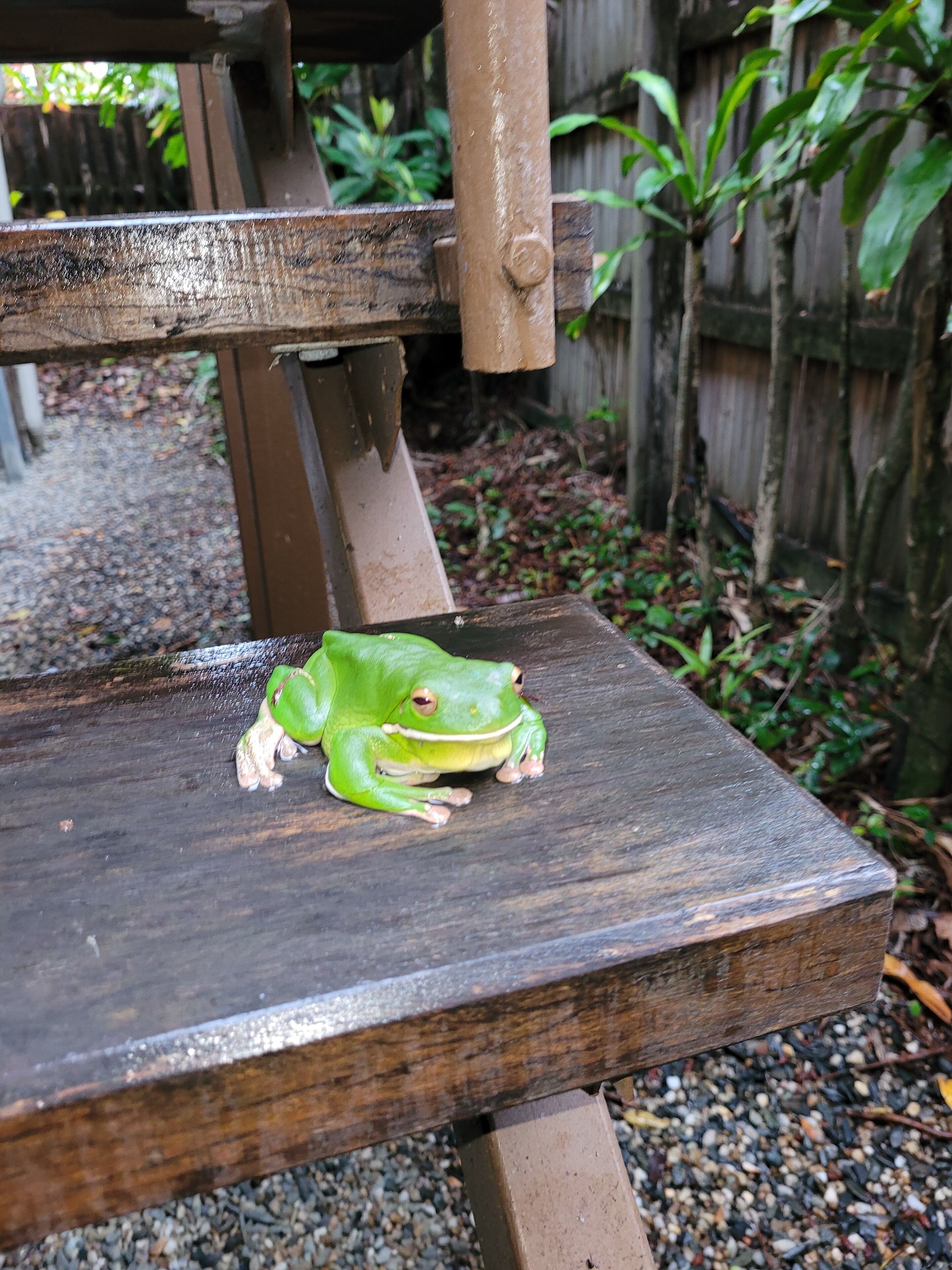 Foto - Travellers Paradise