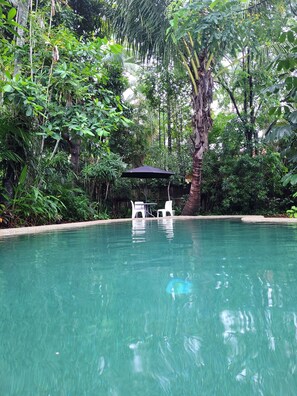 A clear swimming pool with white chairs and an umbrella, surrounded by lush greenery. - Travellers Paradise Heritage Historical Place - Hostel (Parramatta Park)