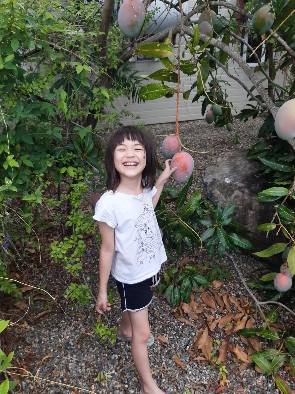 Foto - Travellers Paradise