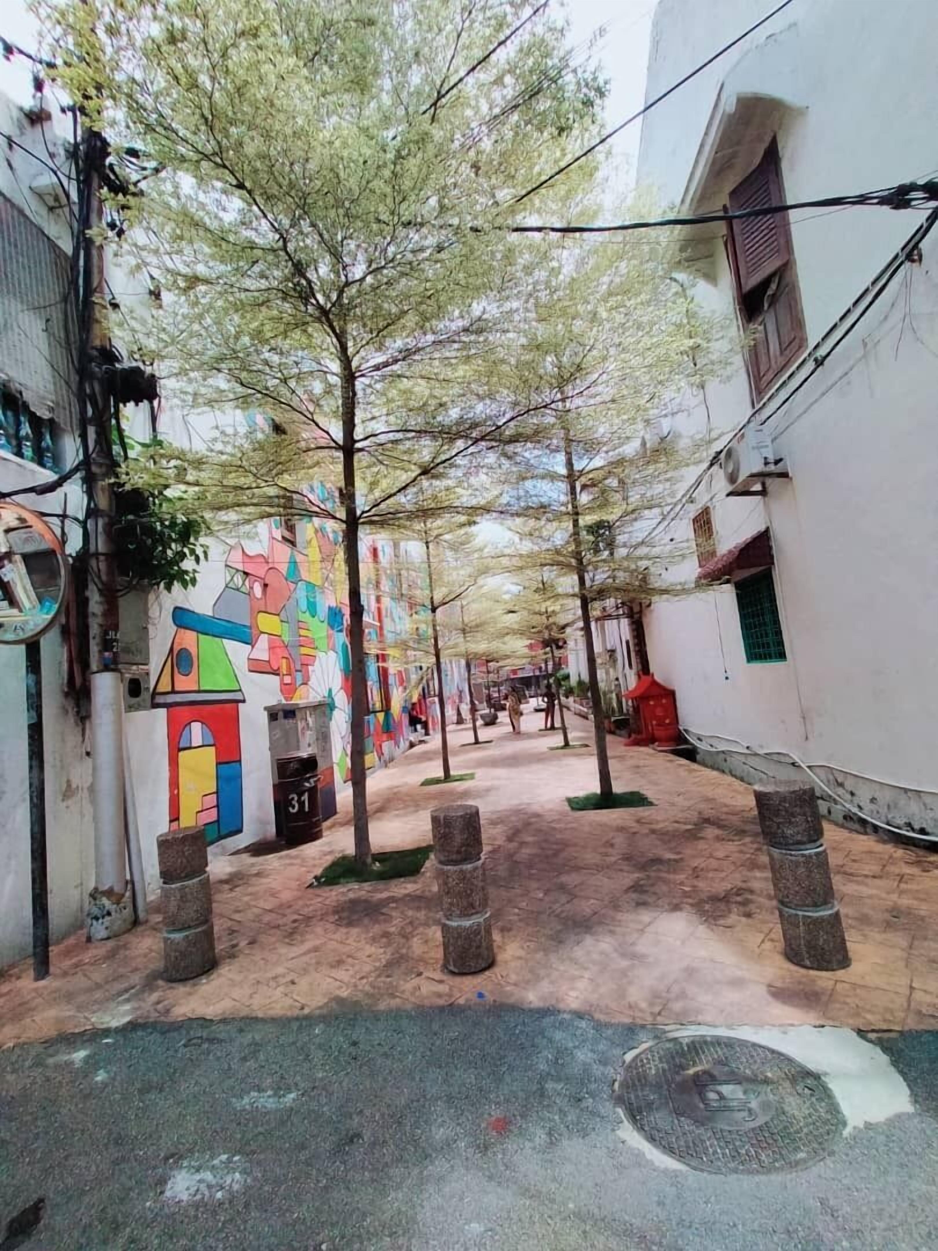 land view from property