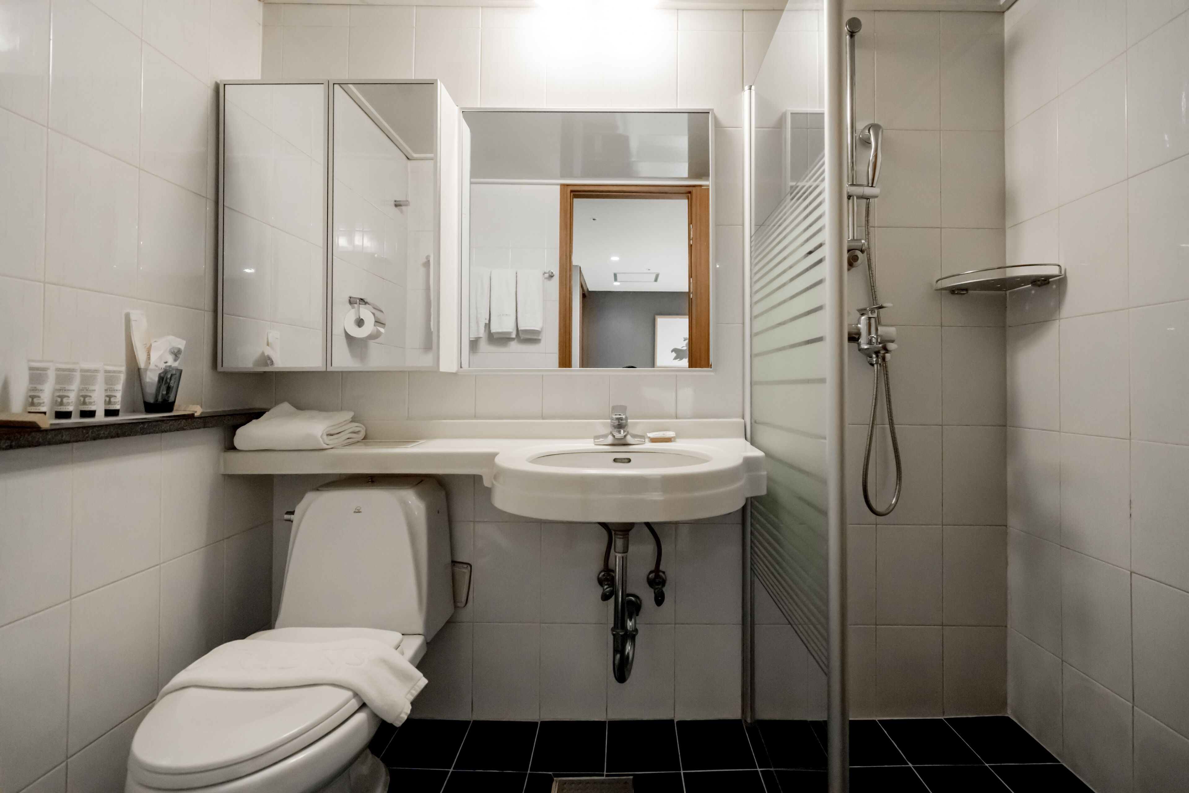 Moderni kylpyhuone, jossa on wc, pesuallas, peili ja suihku.