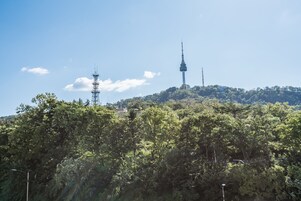 Vista de una colina con una torre y una estructura más pequeña, rodeada de árboles verdes y frondosos.